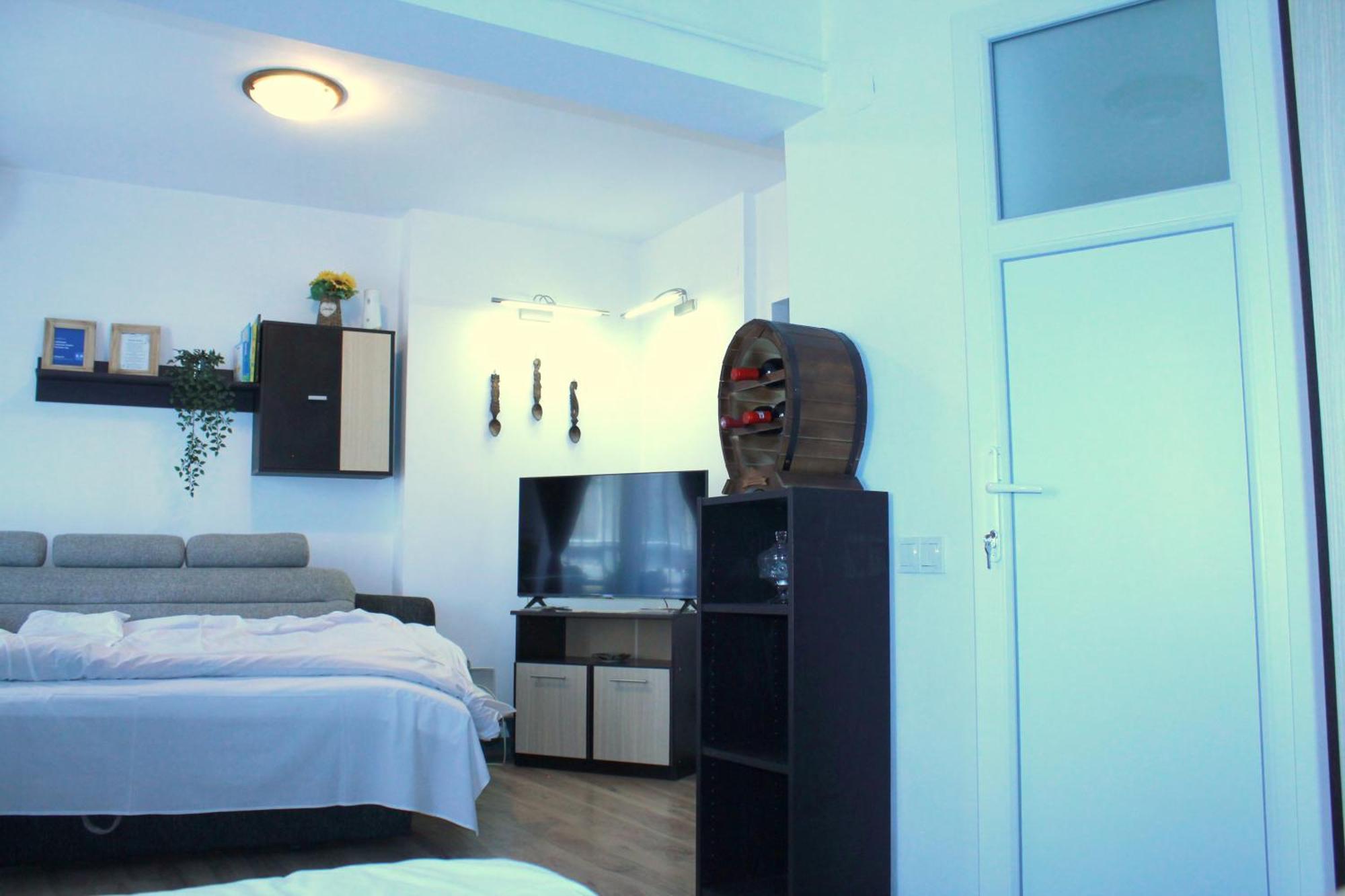 Traditional Romanian Apartments بوخارست المظهر الخارجي الصورة
